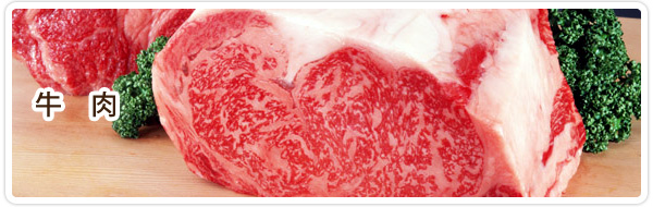 食肉卸 宮崎 ジョイントコーポレーション 牛肉